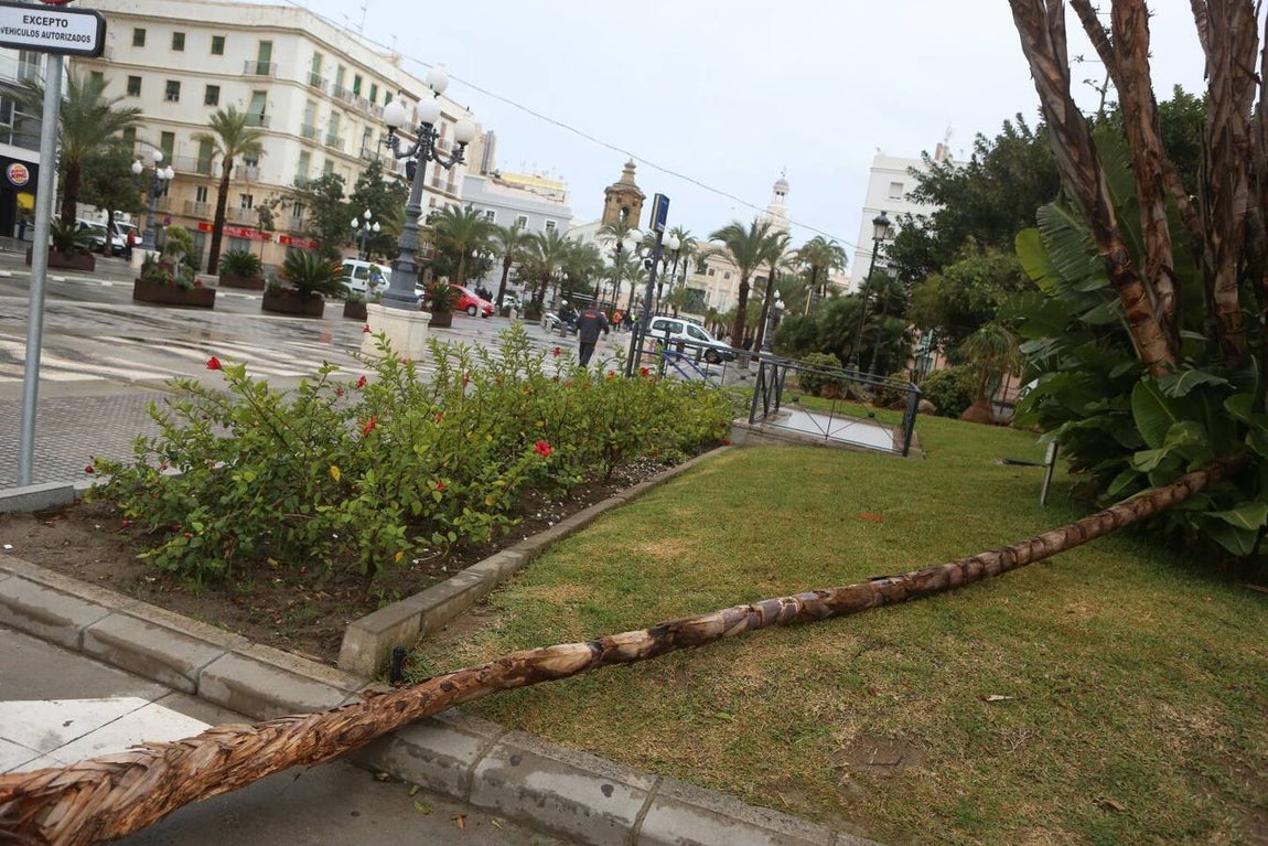 Más de un centenar de incidencias registradas en la provincia a causa del temporal