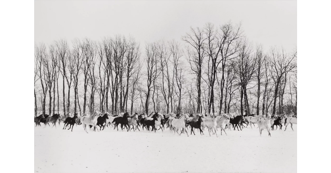 «Györ, Hungary», vendida por 37.000 dólares.. 