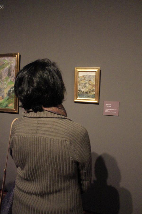 En imágenes: la exposición de Sorolla abre sus puertas en el Museo de Santa Cruz