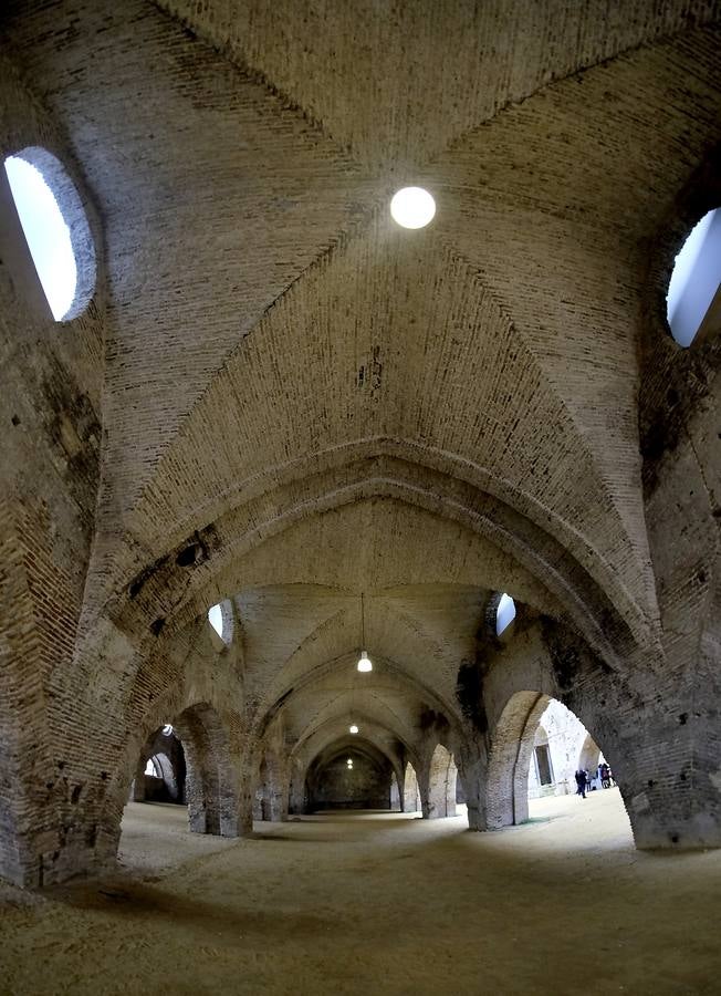 Las Reales Atarazanas, un edificio medieval para el siglo XXI