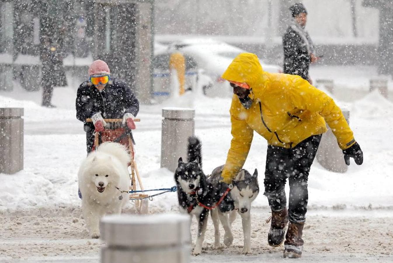 Una pareja y sus tres perros tiran de un trineo por la Novena Avenida durante la tormenta de viento y nieve de Nueva York.. 