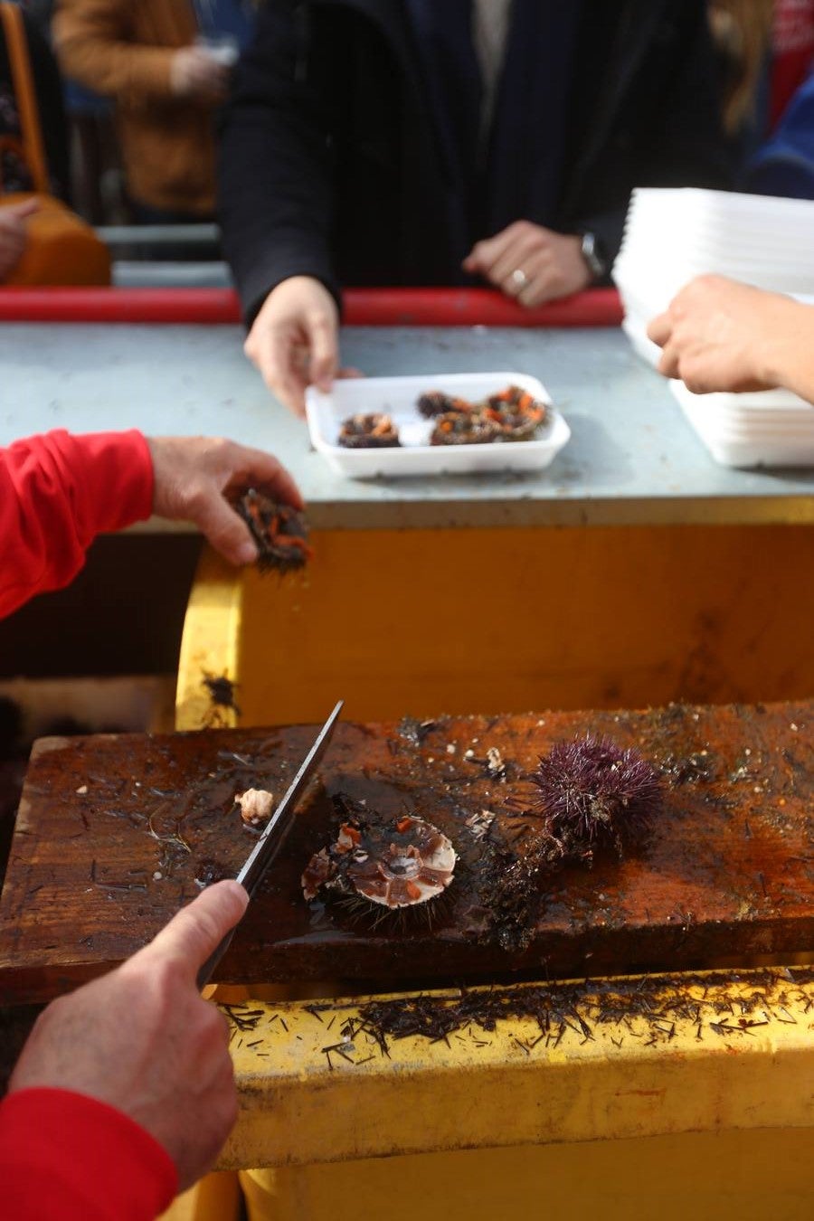Fotos: Ambientazo en la Erizada más madrugadora de Cádiz