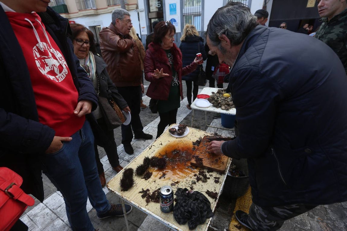 Fotos: Ambientazo en la Erizada más madrugadora de Cádiz