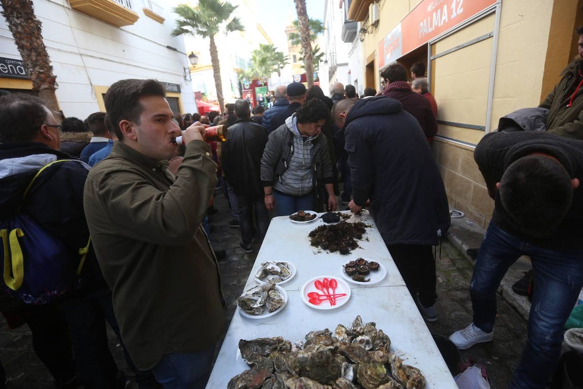 Fotos: Ambientazo en la Erizada más madrugadora de Cádiz