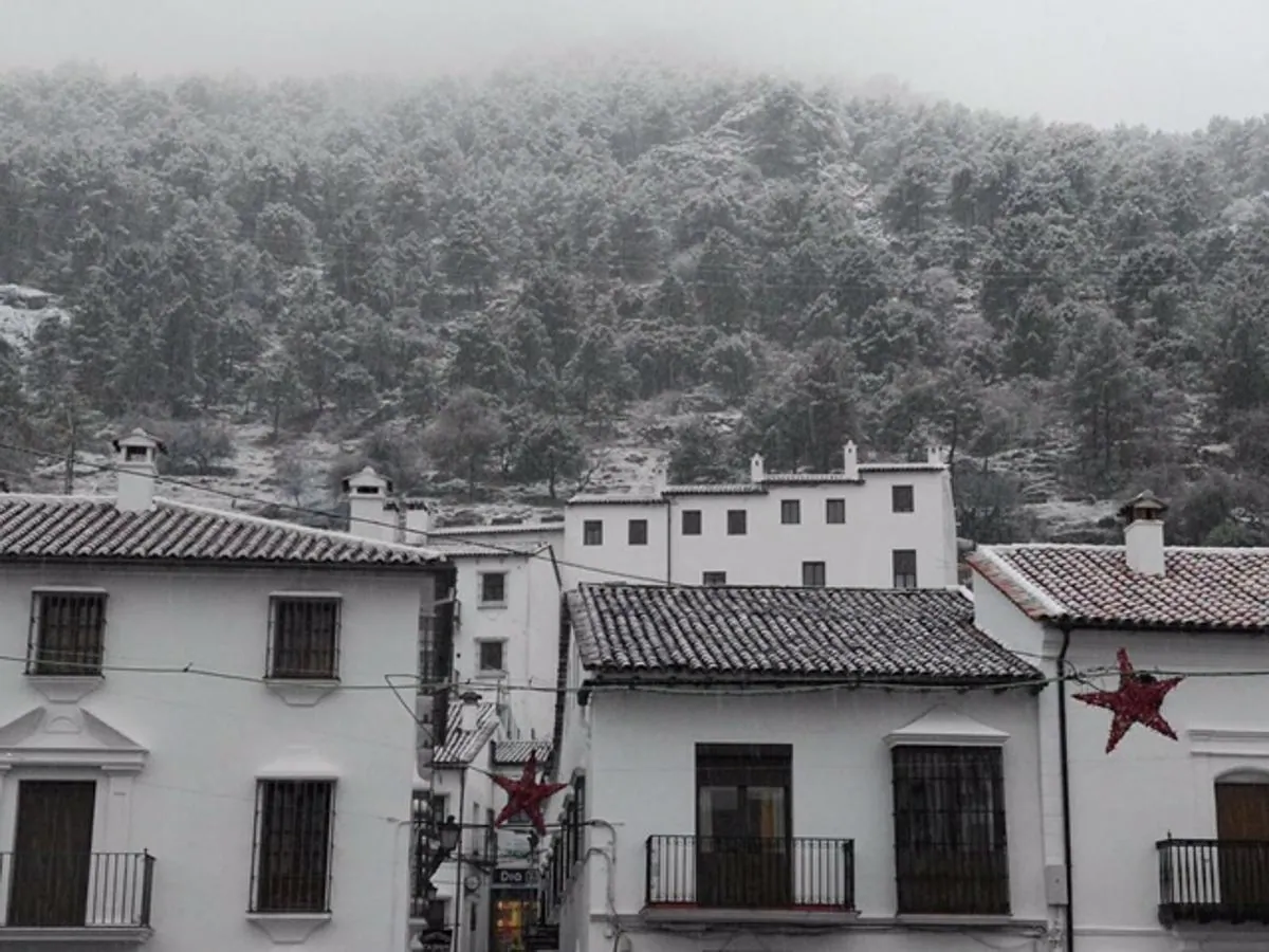 FOTOS: la nieve cubre la Sierra de Cádiz