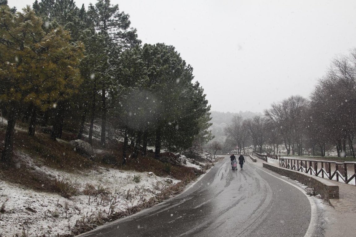 FOTOS: la nieve cubre la Sierra de Cádiz