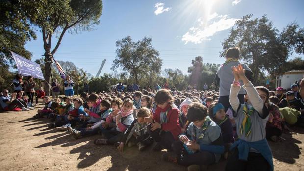 La acampada de los scouts en el Alamillo, en imágenes