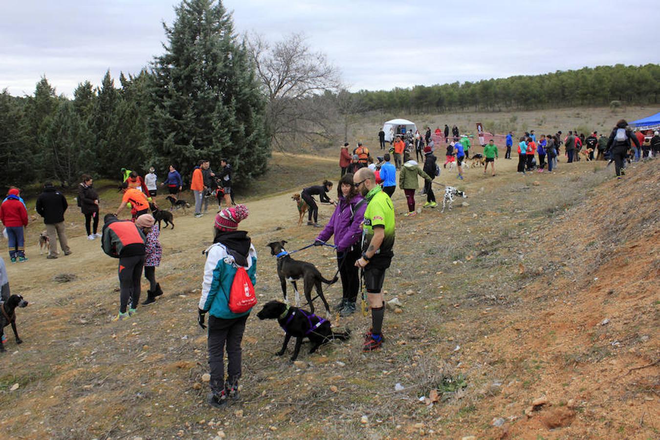 III Mushing Day «Ciudad de Toledo»