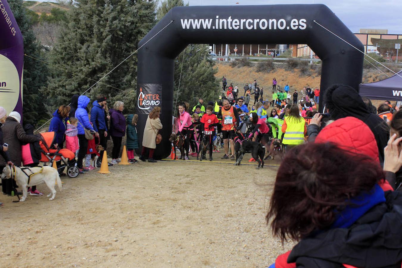 III Mushing Day «Ciudad de Toledo»