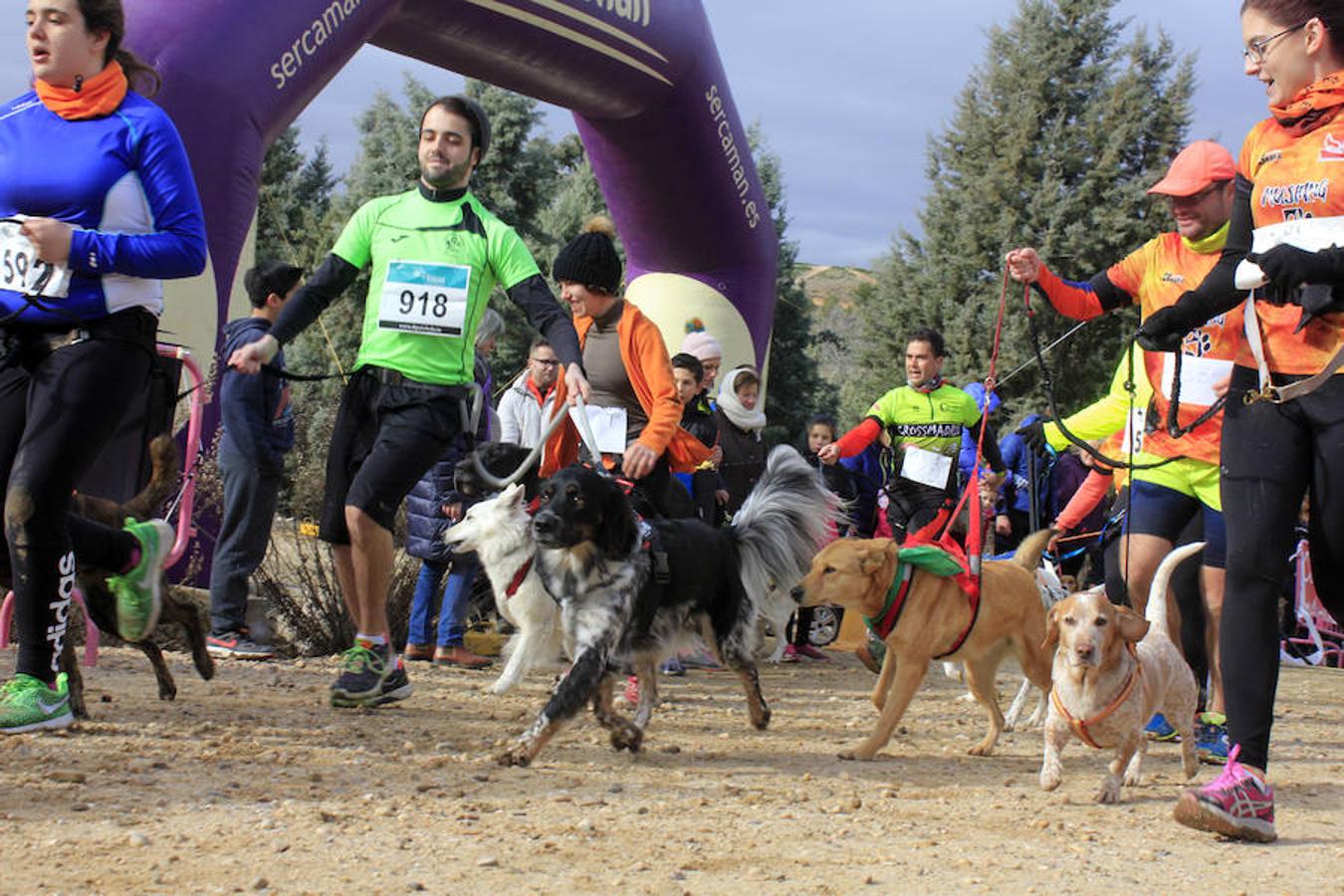 III Mushing Day «Ciudad de Toledo»