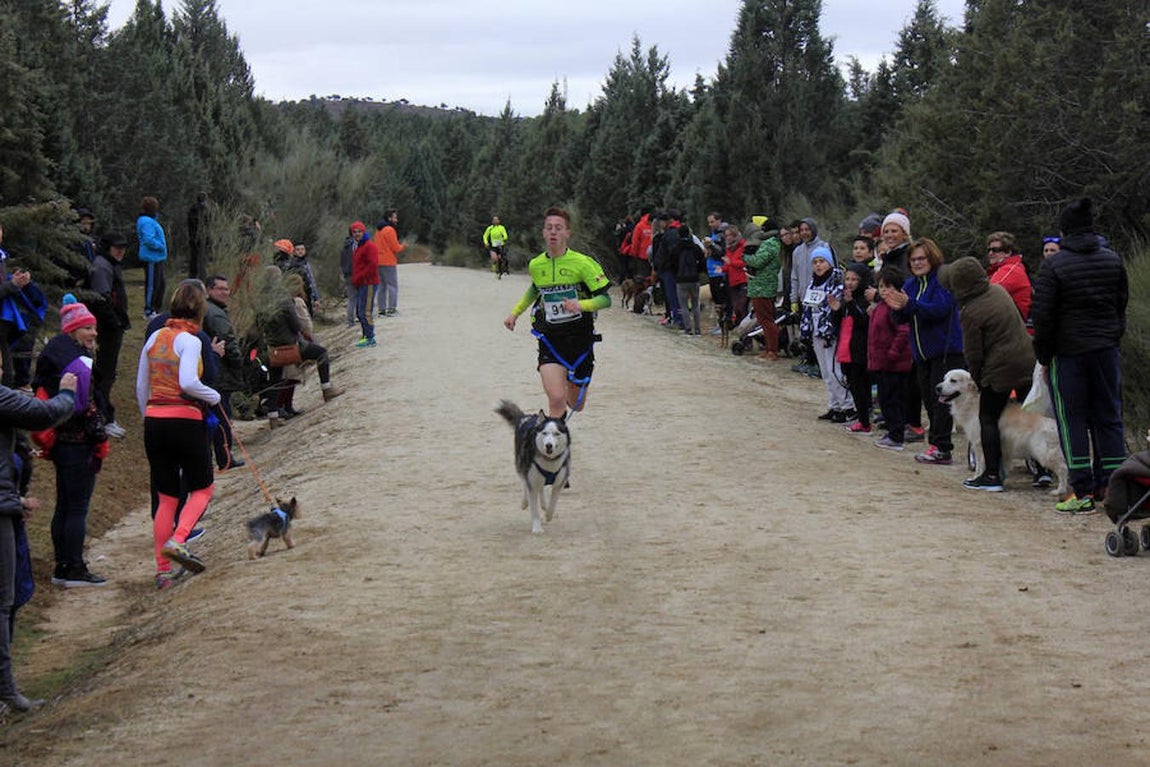 III Mushing Day «Ciudad de Toledo»