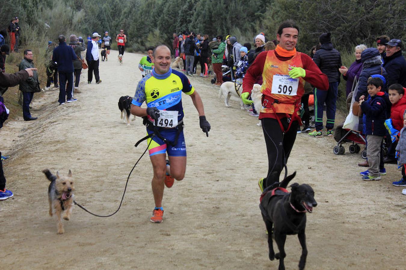 III Mushing Day «Ciudad de Toledo»