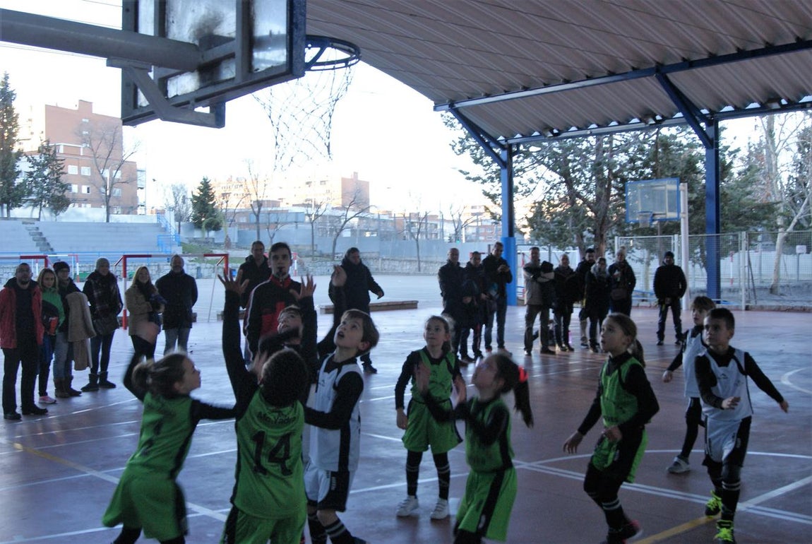 Las mejores imágenes del encuentro de baloncesto entre Virgen de Mirasierra “A” y Nuestra Señora de las Nieves