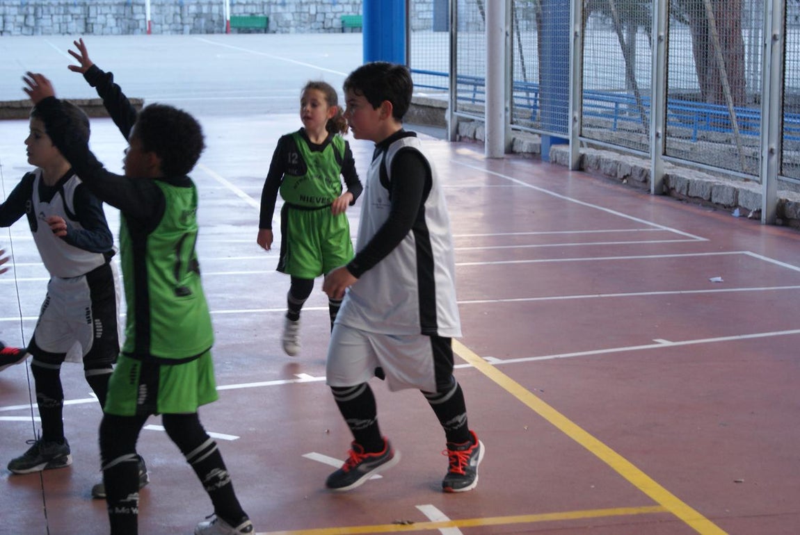 Las mejores imágenes del encuentro de baloncesto entre Virgen de Mirasierra “A” y Nuestra Señora de las Nieves