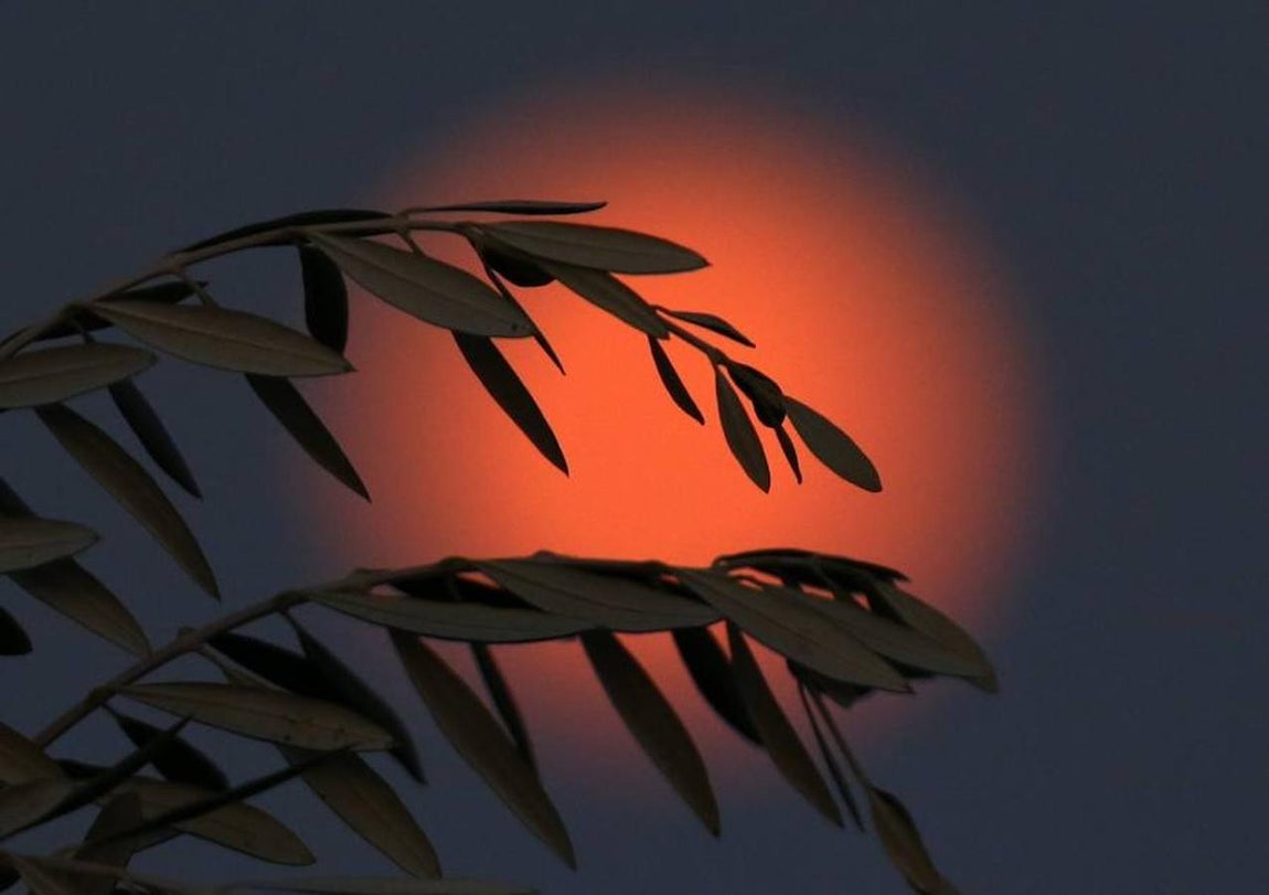 Las imágenes más impactantes de la superluna. Así se ha podido ver la superluna desde Nicosia, capital de Chipre