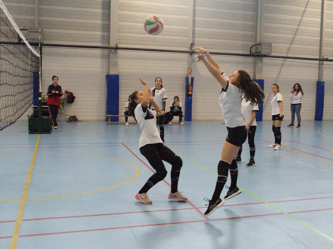 Las mejores imágenes del partido de voleibol que enfrentó al Antamira y al Irlandesas