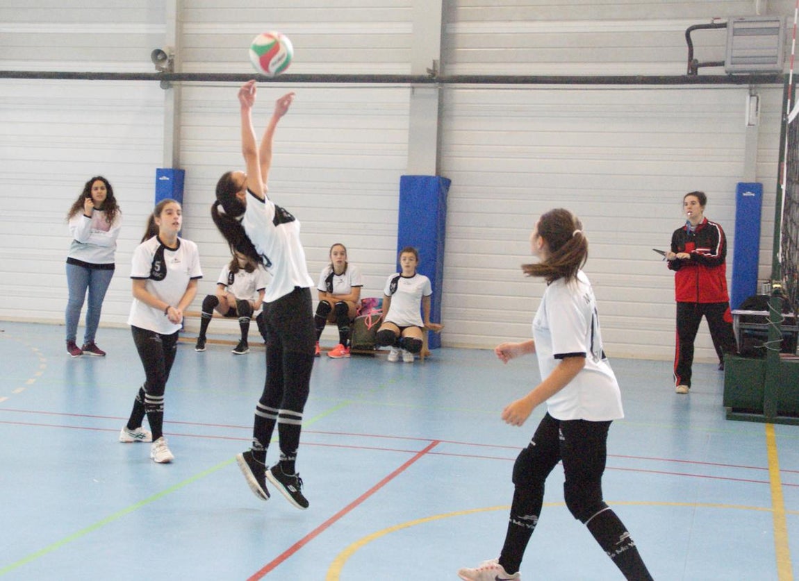 Las mejores imágenes del partido de voleibol que enfrentó al Antamira y al Irlandesas