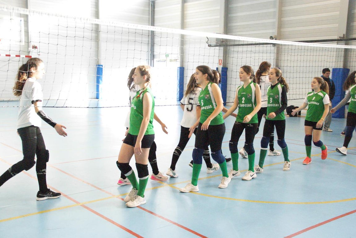 Las mejores imágenes del partido de voleibol que enfrentó al Antamira y al Irlandesas