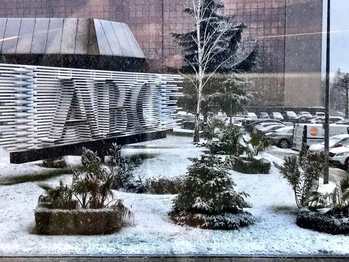 A primera hora de la mañana, la nieve caía sobre mojado. Pero luego ha conseguido cuajar sobre jardines y vehículos. En imagen, el jardín de entrada al diario ABC. 