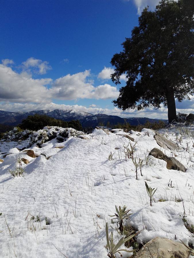 En imágenes, la nieve puebla el sur de la provincia de Córdoba
