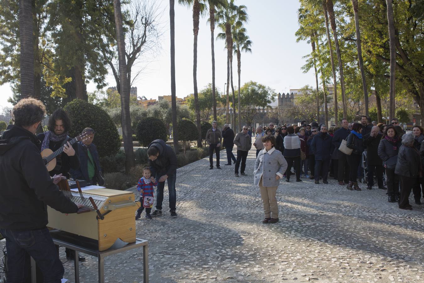 El Parlamento de Andalucía, abierto a todos