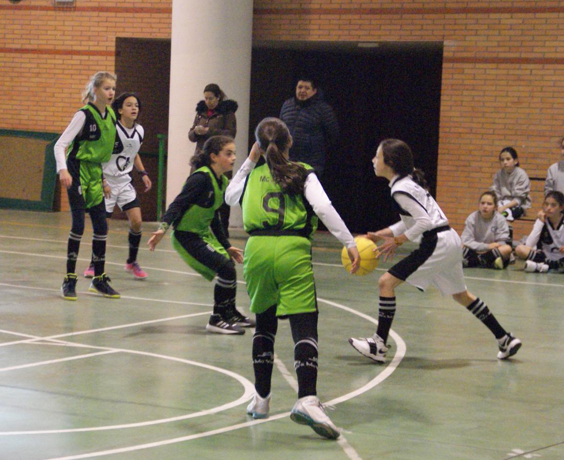 Las mejores imágenes del encuentro de baloncesto alevín femenino entre COIN &quot;A&quot; y Sagrada Familia Jorge Juan