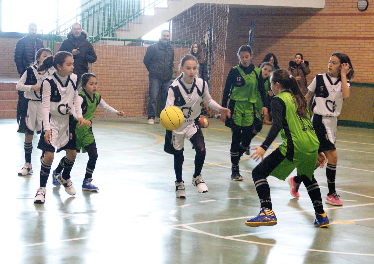 Las mejores imágenes del encuentro de baloncesto alevín femenino entre COIN &quot;A&quot; y Sagrada Familia Jorge Juan