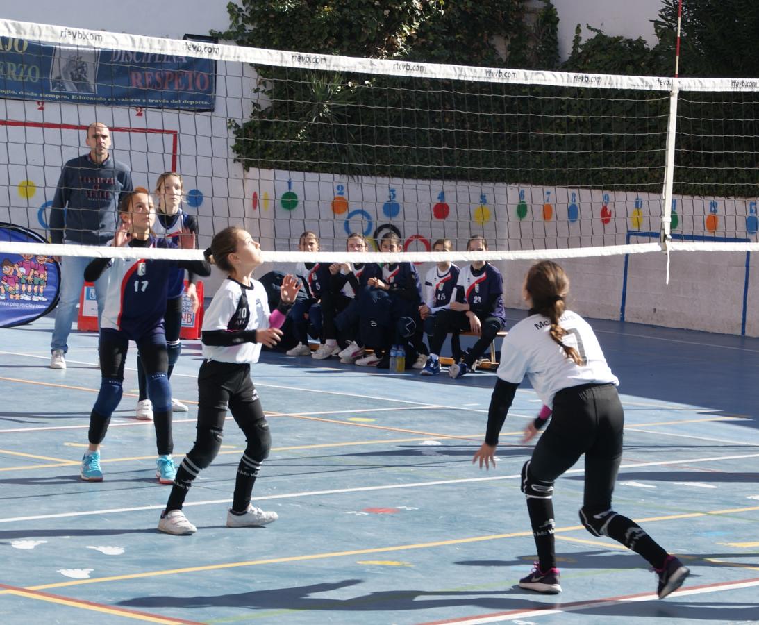 Las mejores imágenes del partido de voleibol alevín entre San Eulogio y Saint Louis des Français &quot;A&quot;