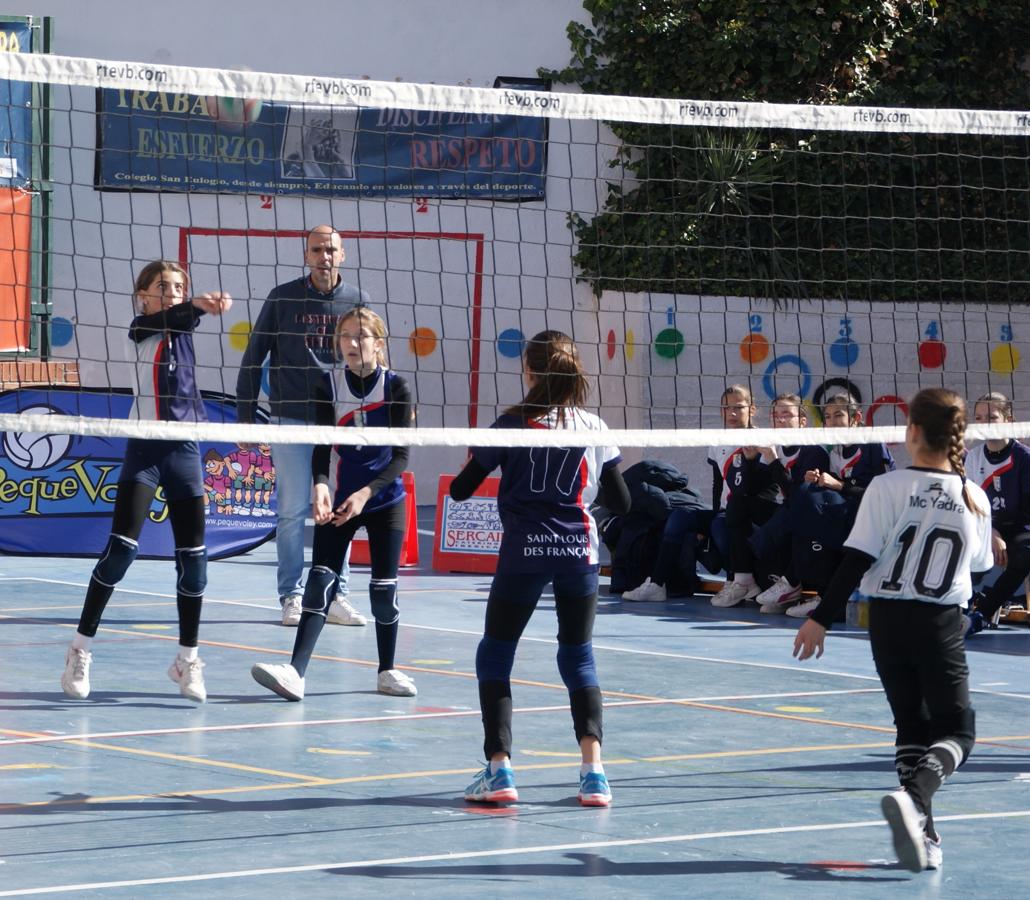 Las mejores imágenes del partido de voleibol alevín entre San Eulogio y Saint Louis des Français &quot;A&quot;