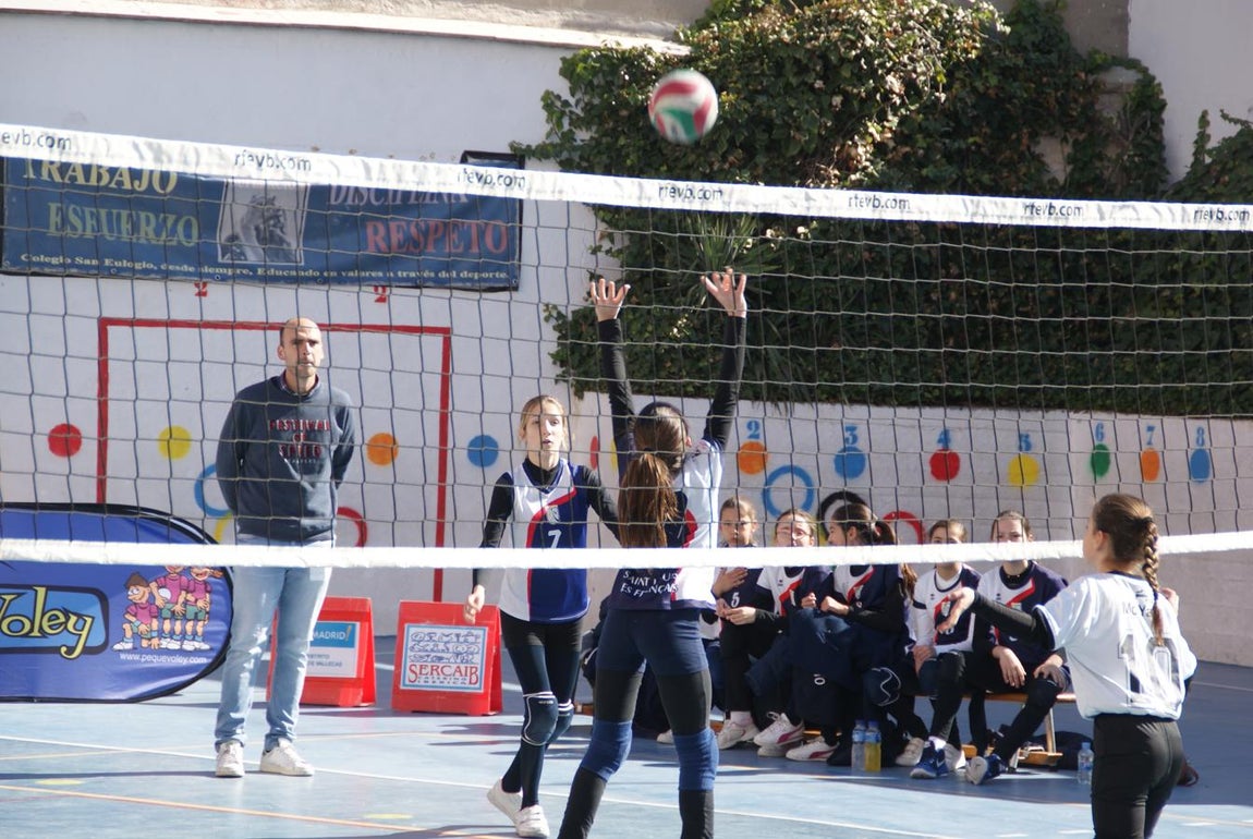 Las mejores imágenes del partido de voleibol alevín entre San Eulogio y Saint Louis des Français &quot;A&quot;