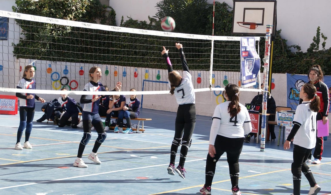 Las mejores imágenes del partido de voleibol alevín entre San Eulogio y Saint Louis des Français &quot;A&quot;