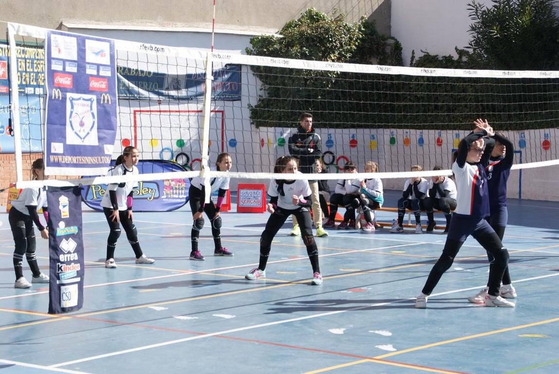 Las mejores imágenes del partido de voleibol alevín entre San Eulogio y Saint Louis des Français &quot;A&quot;
