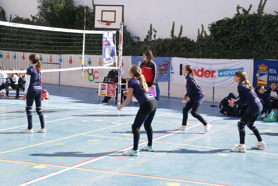 Las mejores imágenes del partido de voleibol alevín entre San Eulogio y Saint Louis des Français &quot;A&quot;