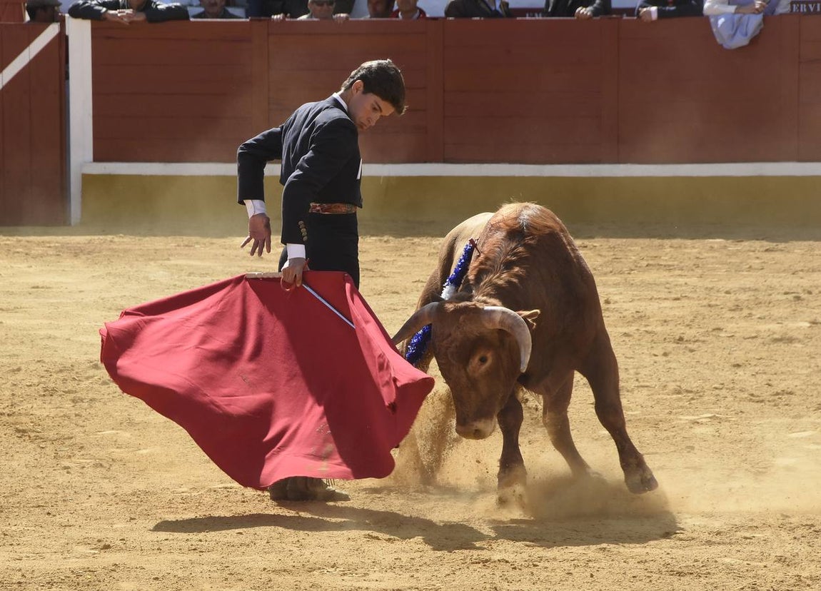 El festival taurino de Aracena, en imágenes