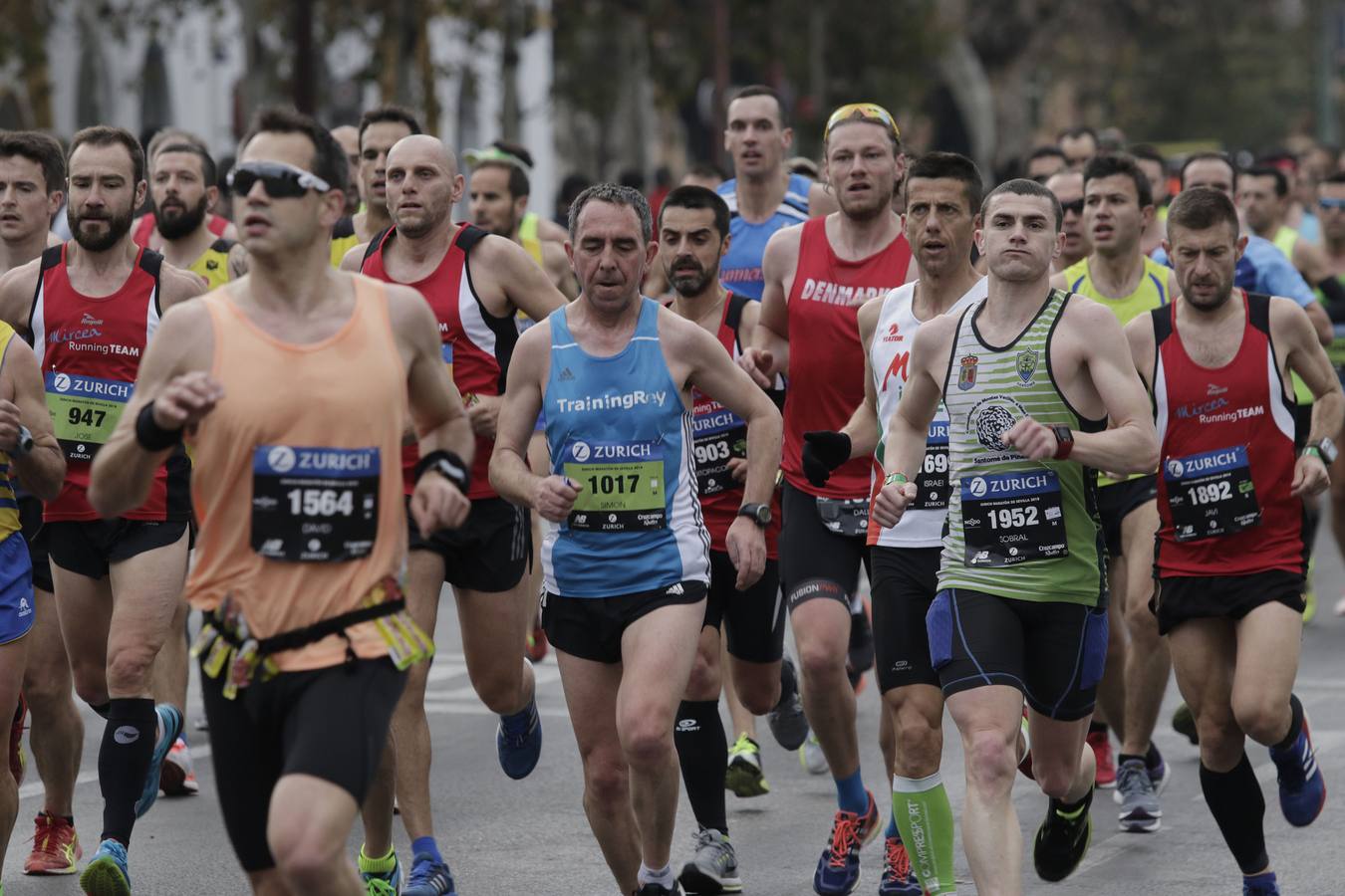 ¿Has corrido el Maratón de Sevilla? ¡Búscate aquí! (III)