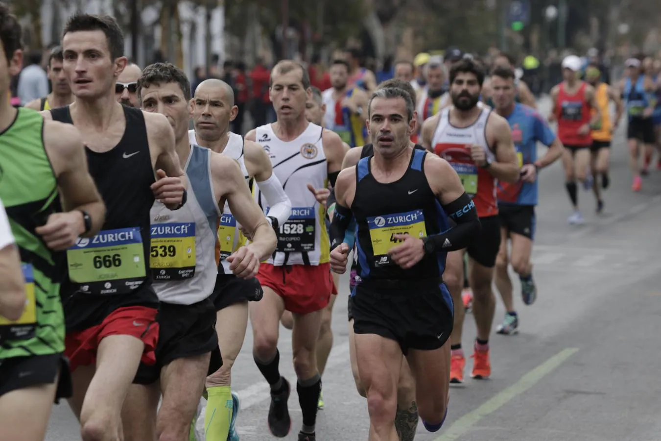 ¿Has corrido el Maratón de Sevilla? ¡Búscate aquí! (III)