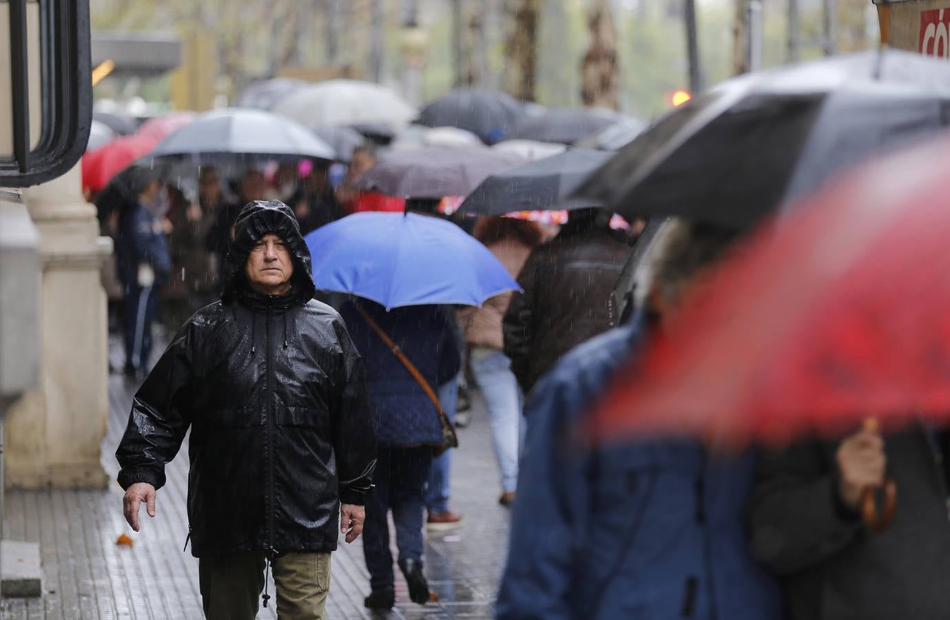 Lluvia en Córdoba. 