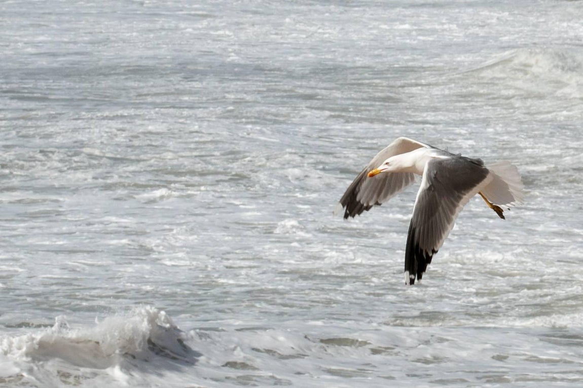 Las impresionantes imágenes que deja el temporal