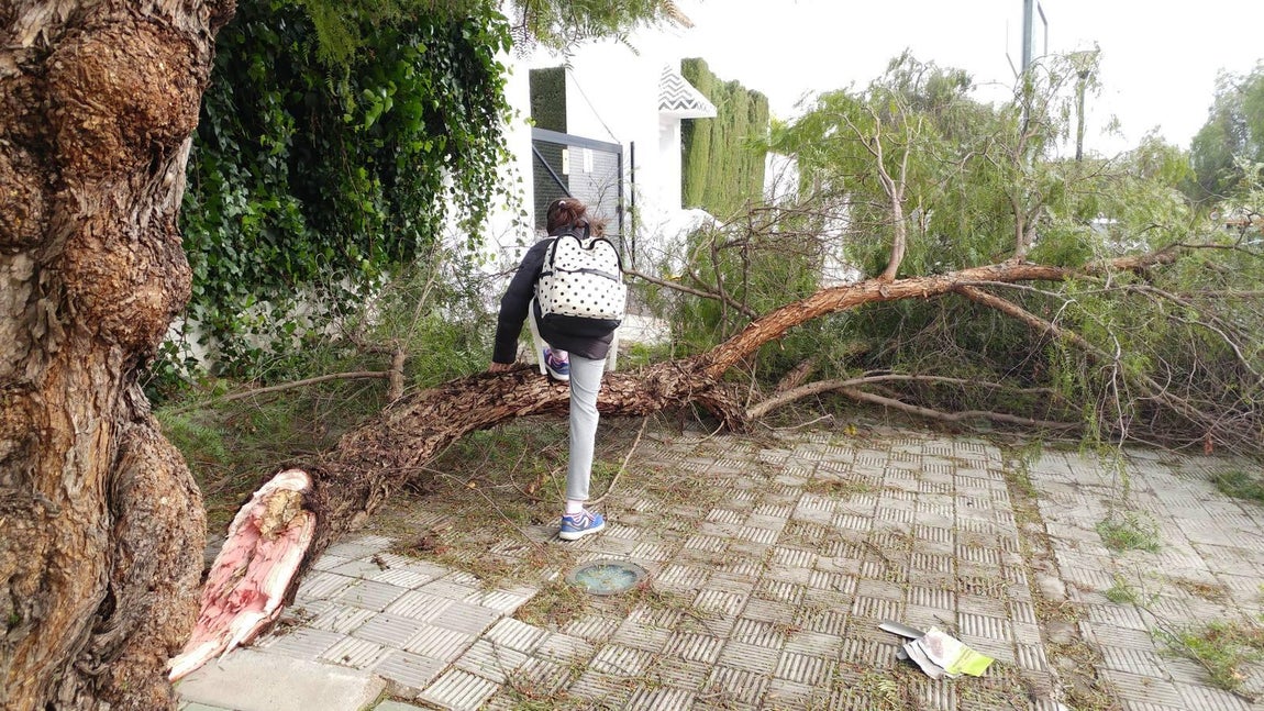 Las impresionantes imágenes que deja el temporal