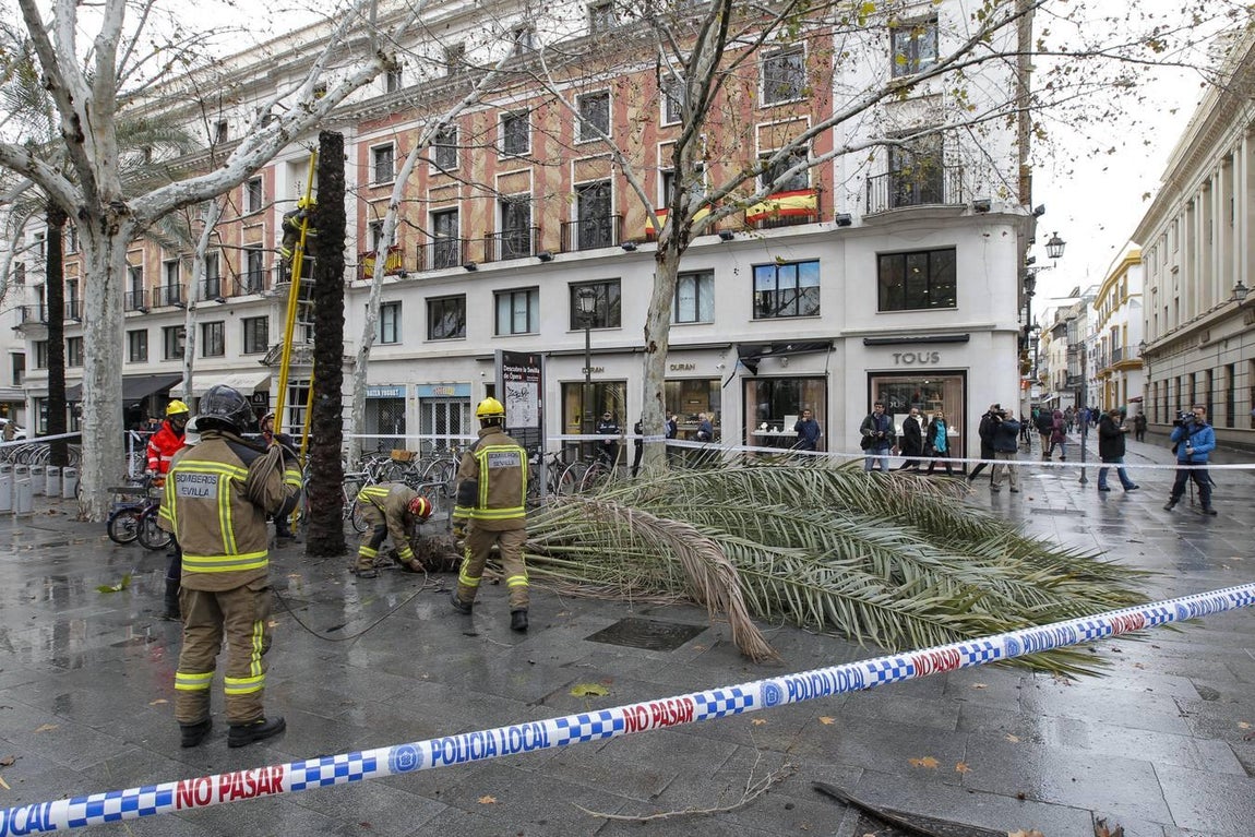 Las impresionantes imágenes que deja el temporal