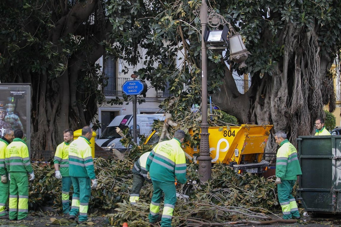 Las impresionantes imágenes que deja el temporal