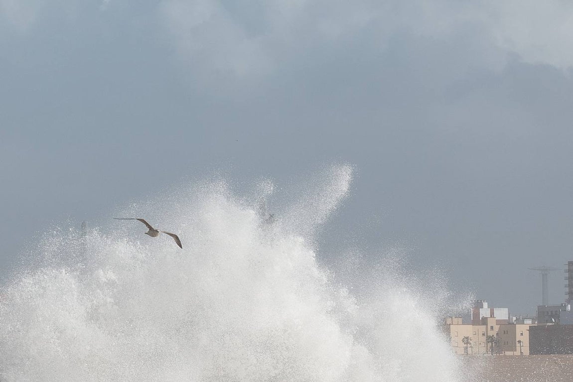 Las impresionantes imágenes que deja el temporal