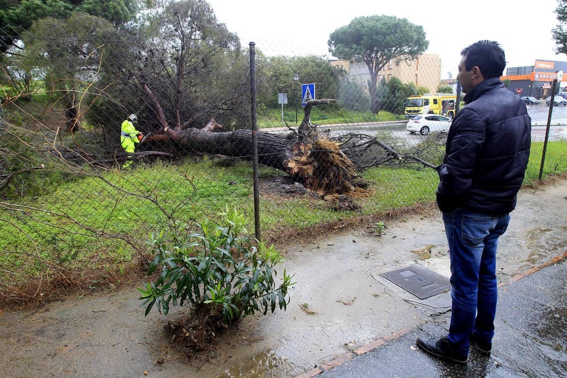 Las impresionantes imágenes que deja el temporal