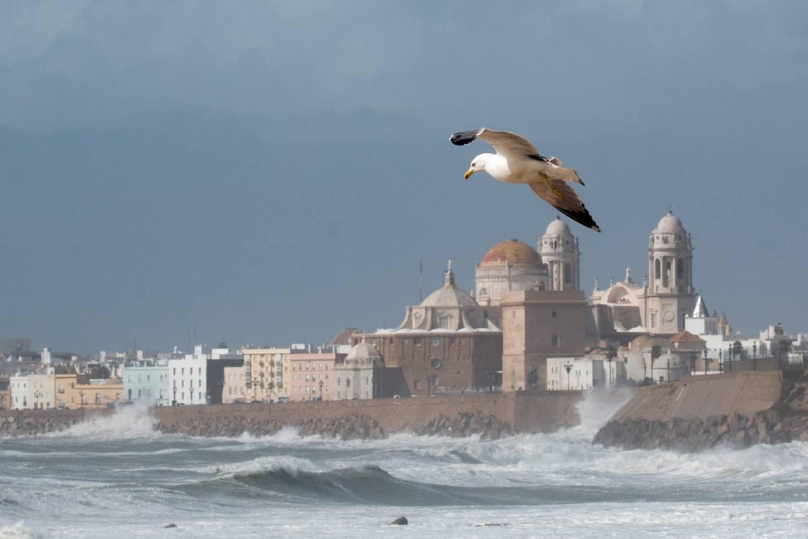 Las impresionantes imágenes que deja el temporal