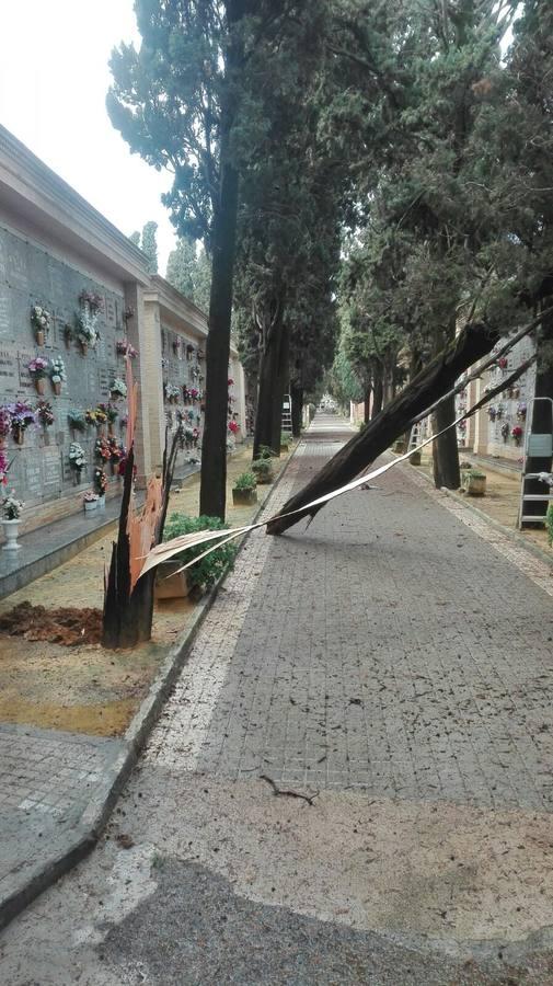 Así ha quedado el cementerio de Sevilla tras el temporal