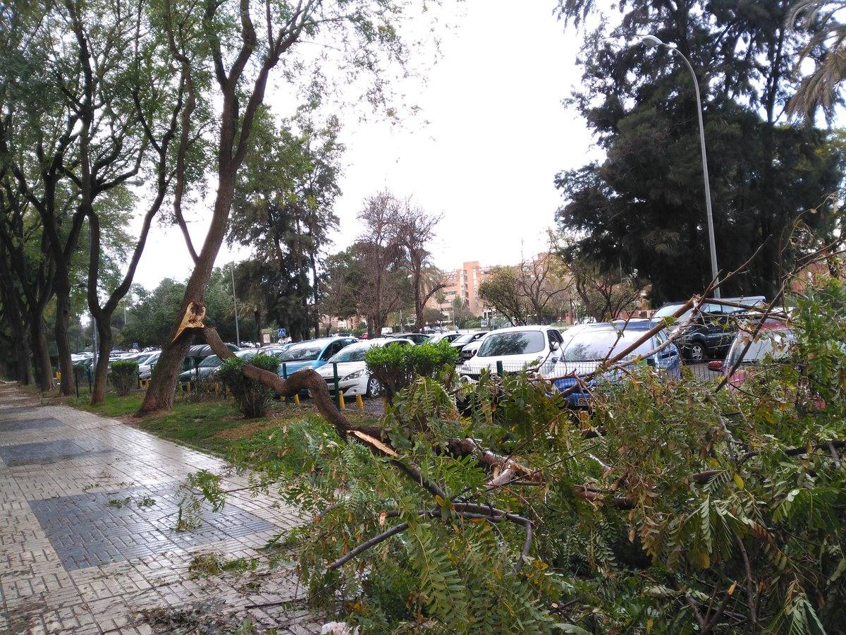 #TemporalABCsev: Los estragos del temporal en la ciudad desde el objetivo de los sevillanos