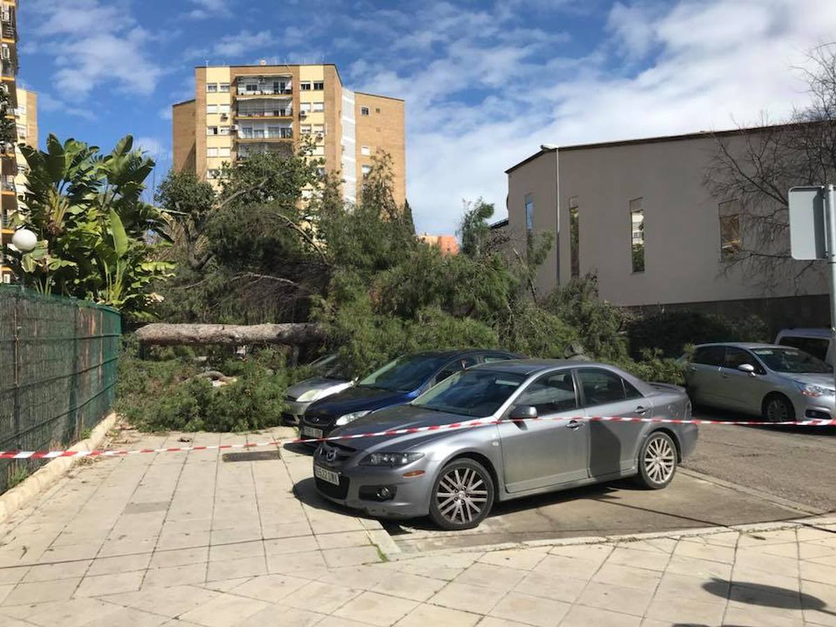 #TemporalABCsev: Los estragos del temporal en la ciudad desde el objetivo de los sevillanos