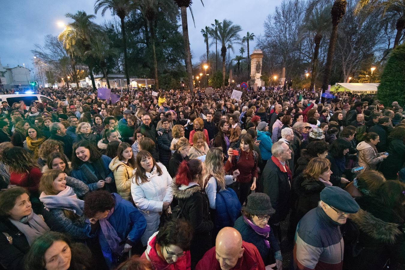 En imágenes, la multitudinaria manifestación feminista en Córdoba