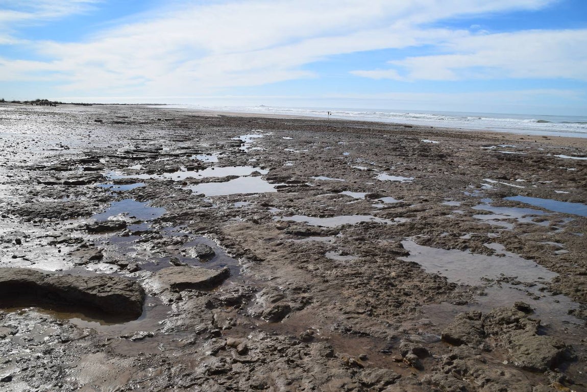 FOTOS: Así ha quedado la playa de Camposoto en San Fernando
