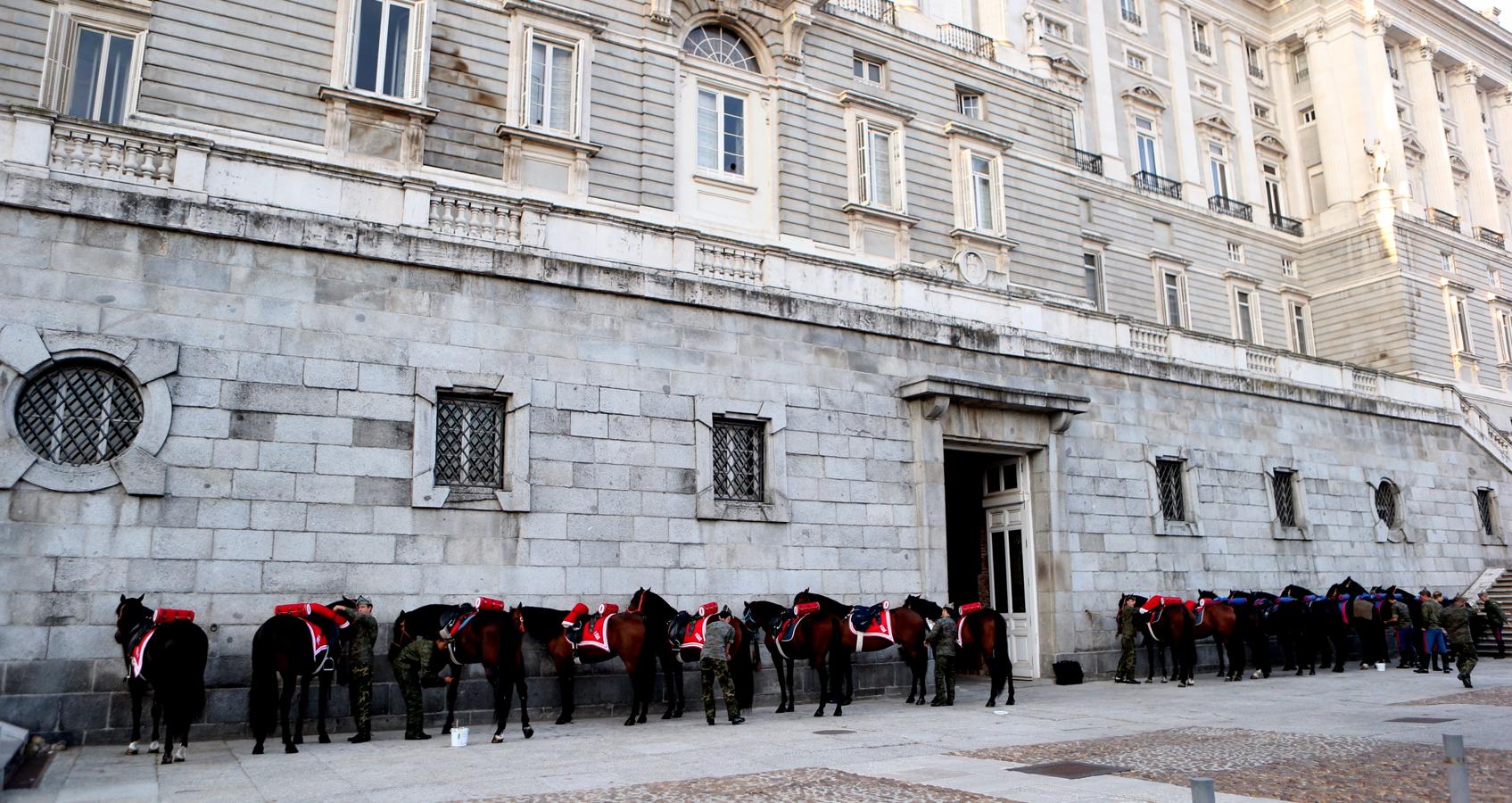 Encuentro equino en Palacio. Además de los caballos que viven en Palacio, en la ceremonia participan otros ejemplares de la Guardia Real y de la Policía Municipal. Todos ellos se han dado cita en el patio de las Caballerizas Reales